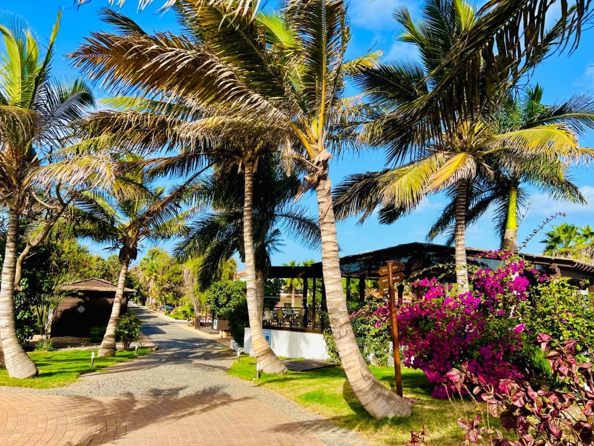 Luxusvilla in St.Maria, Sal Kap Verde-20m vom Meer Santa Maria Exterior foto