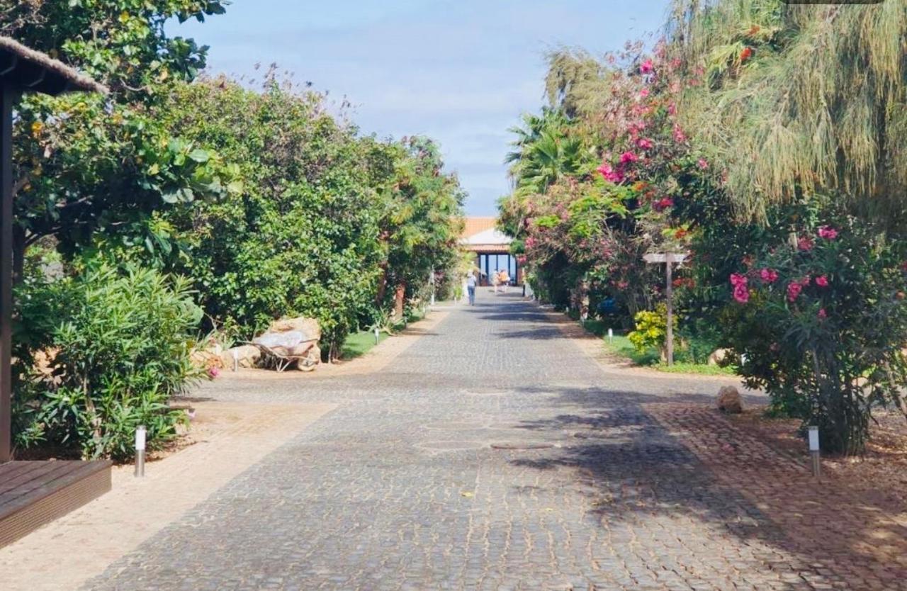Luxusvilla in St.Maria, Sal Kap Verde-20m vom Meer Santa Maria Exterior foto
