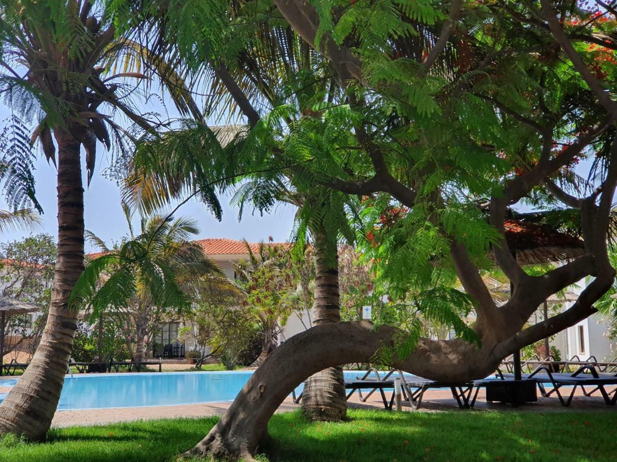 Luxusvilla in St.Maria, Sal Kap Verde-20m vom Meer Santa Maria Exterior foto